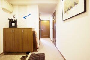 ちょびっとエコカラット