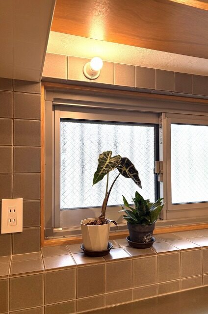 練馬区　マンションリノベーション　築50年　オープンルーム